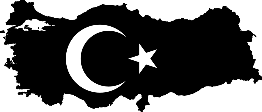 Güçlü Devlet
